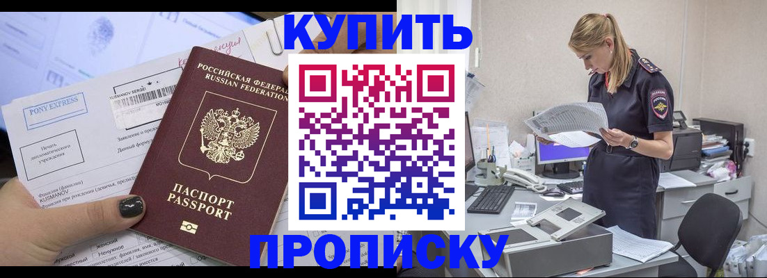 временная регистрация поиск в Новоузенске